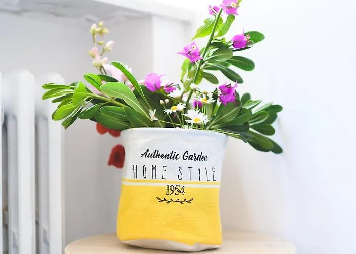 Parco Augusto 住宿加早餐酒店 卡普里